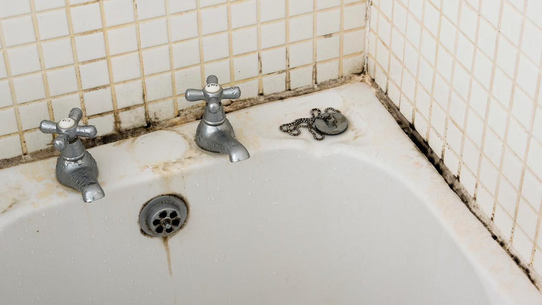 Como evitar  "Moho en juntas de los Baños"
