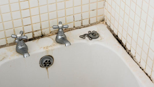 Como evitar  "Moho en juntas de los Baños"