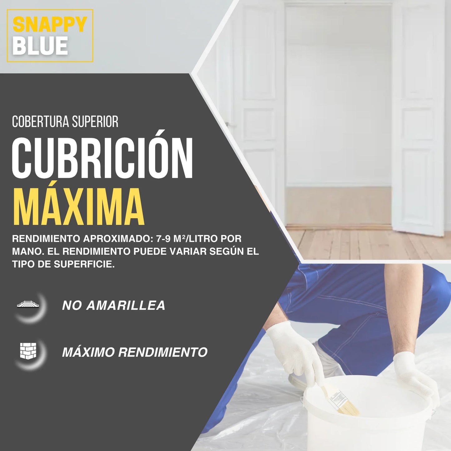 PINTURA PLÁSTICA SATINADA | Snappyblue®