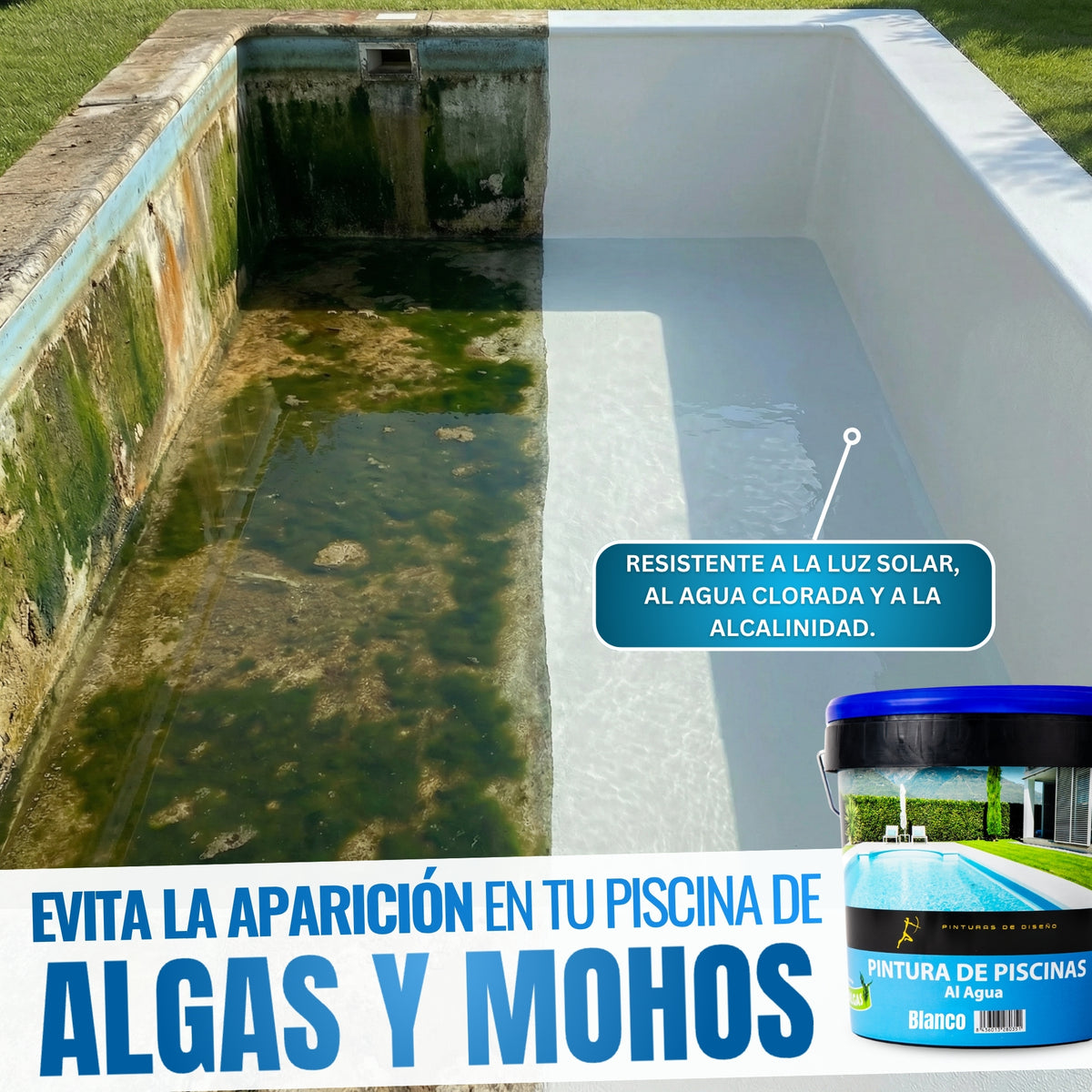 Blanco - Pintura para Piscinas y Bordes Antialgas al Agua