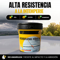 (Gris) Impermeabilizante Membrana Híbrida Poliuretano