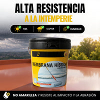 (Teja) Impermeabilizante Membrana Híbrida Poliuretano