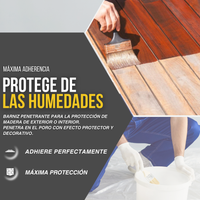 Pintura Plástica Satinada Negra para Paredes y Puertas