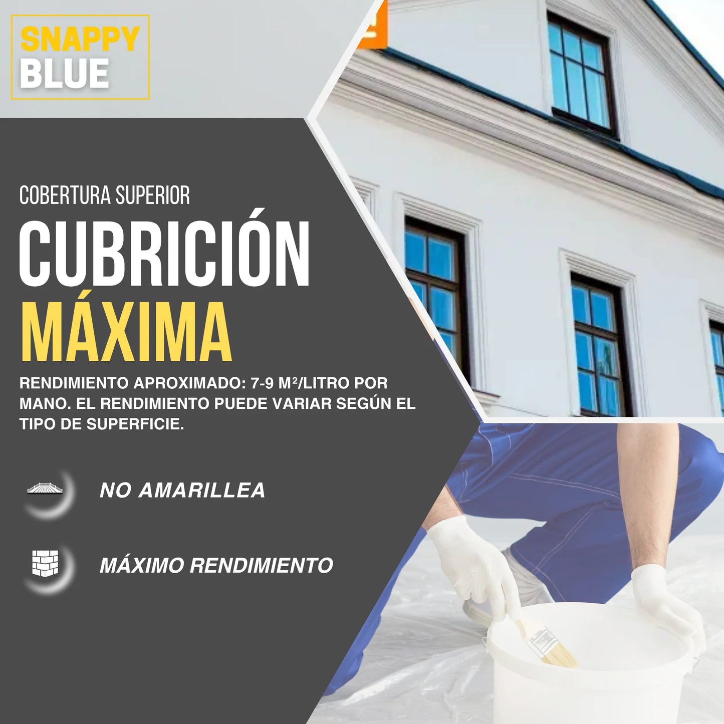 PINTURA PLÁSTICA MATE VINÍLICA | Snappyblue®