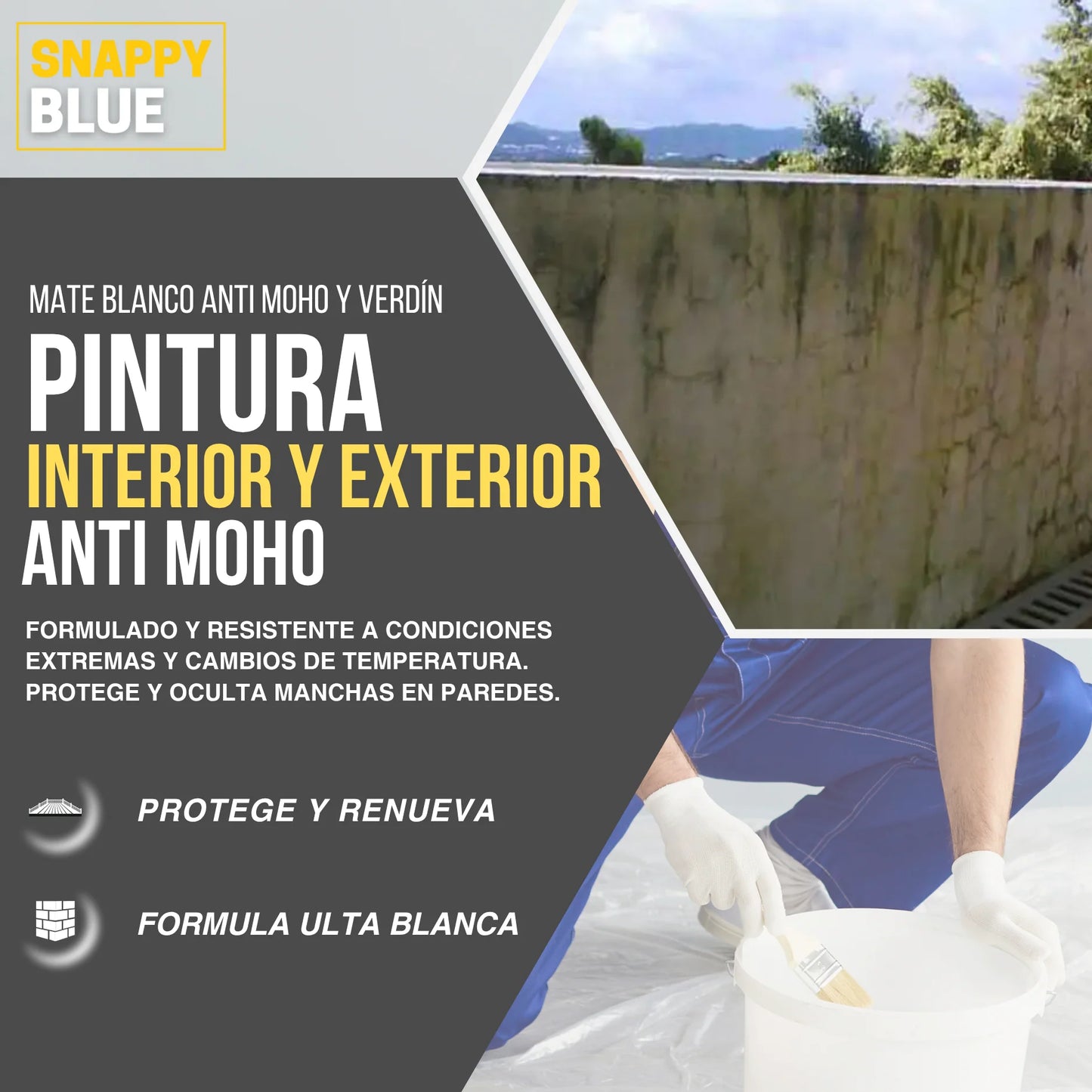 PINTURA PLÁSTICA MATE VINÍLICA | Snappyblue®