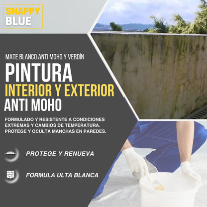 PINTURA PLÁSTICA MATE VINÍLICA | Snappyblue®