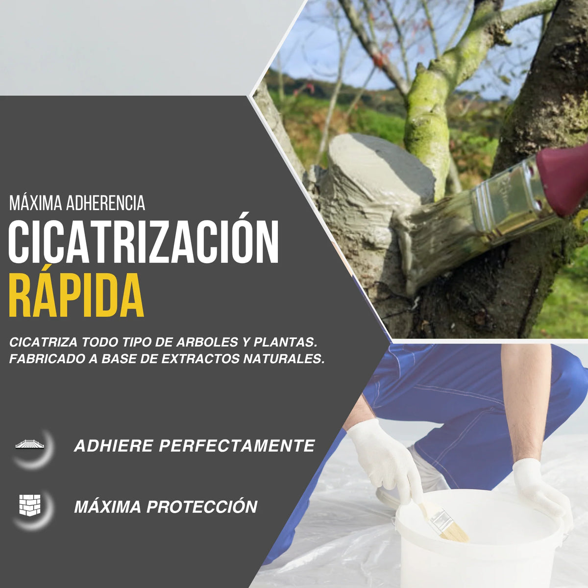CICATRIZANTE DE PODA AGROFITO VERDE | Snappyblue®
