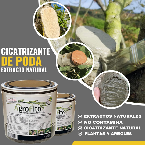 CICATRIZANTE DE PODA AGROFITO VERDE | Snappyblue®