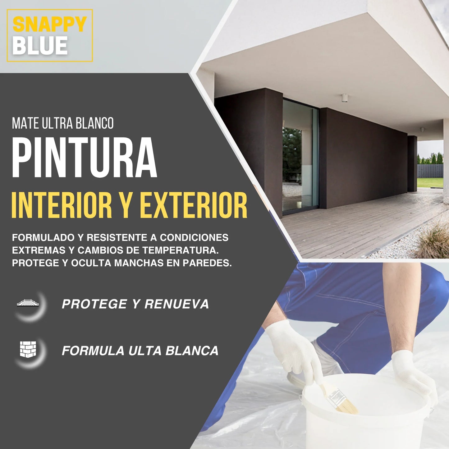 PINTURA PLÁSTICA MATE ÚNICO | Snappyblue®