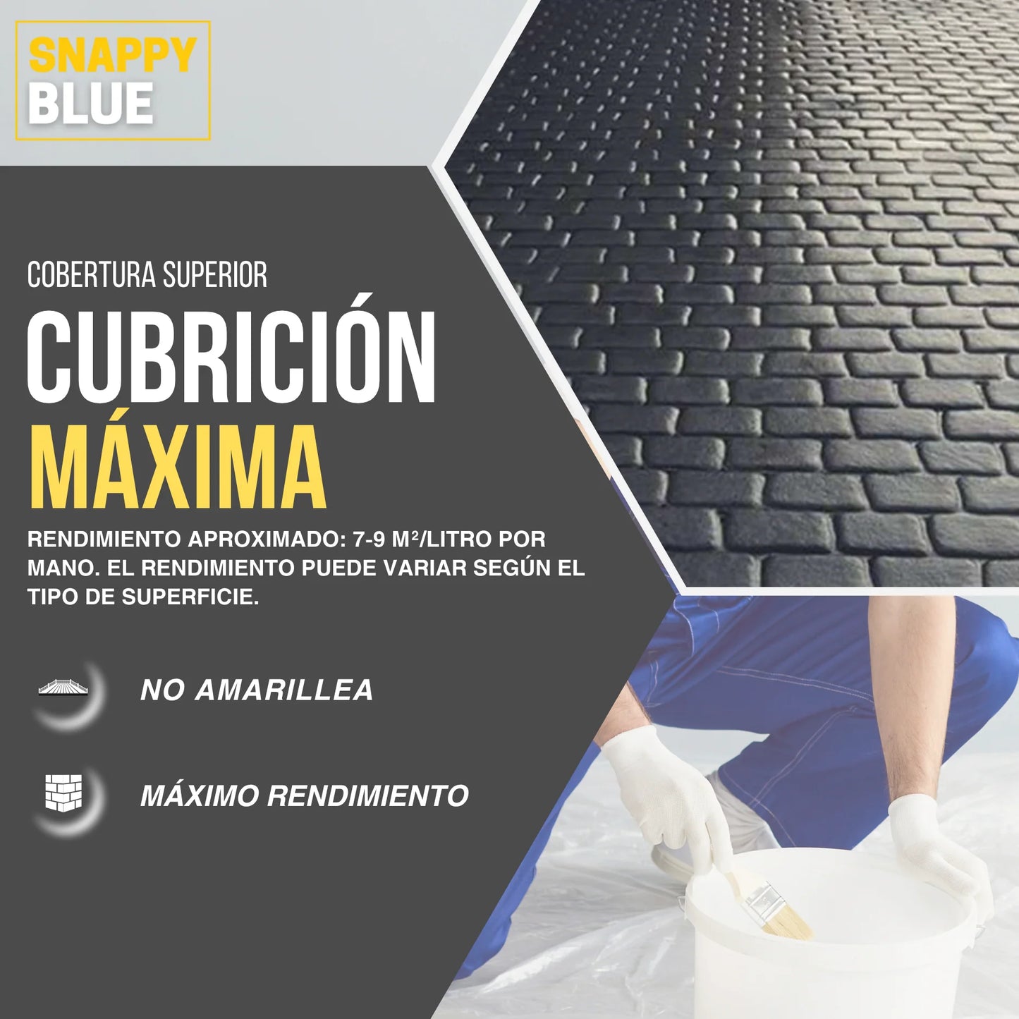 PINTURA PLÁSTICA COLORES MATE | Snappyblue®