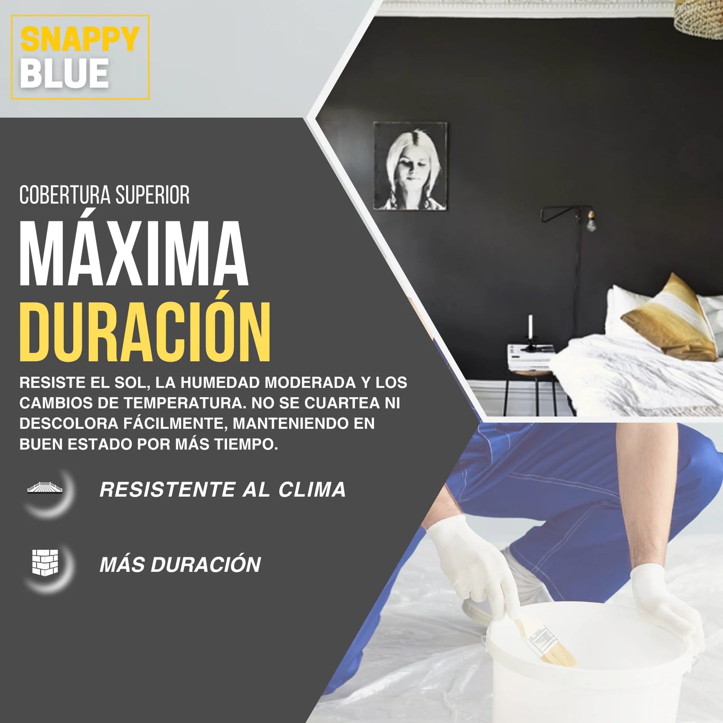 PINTURA PLÁSTICA COLORES MATE | Snappyblue®