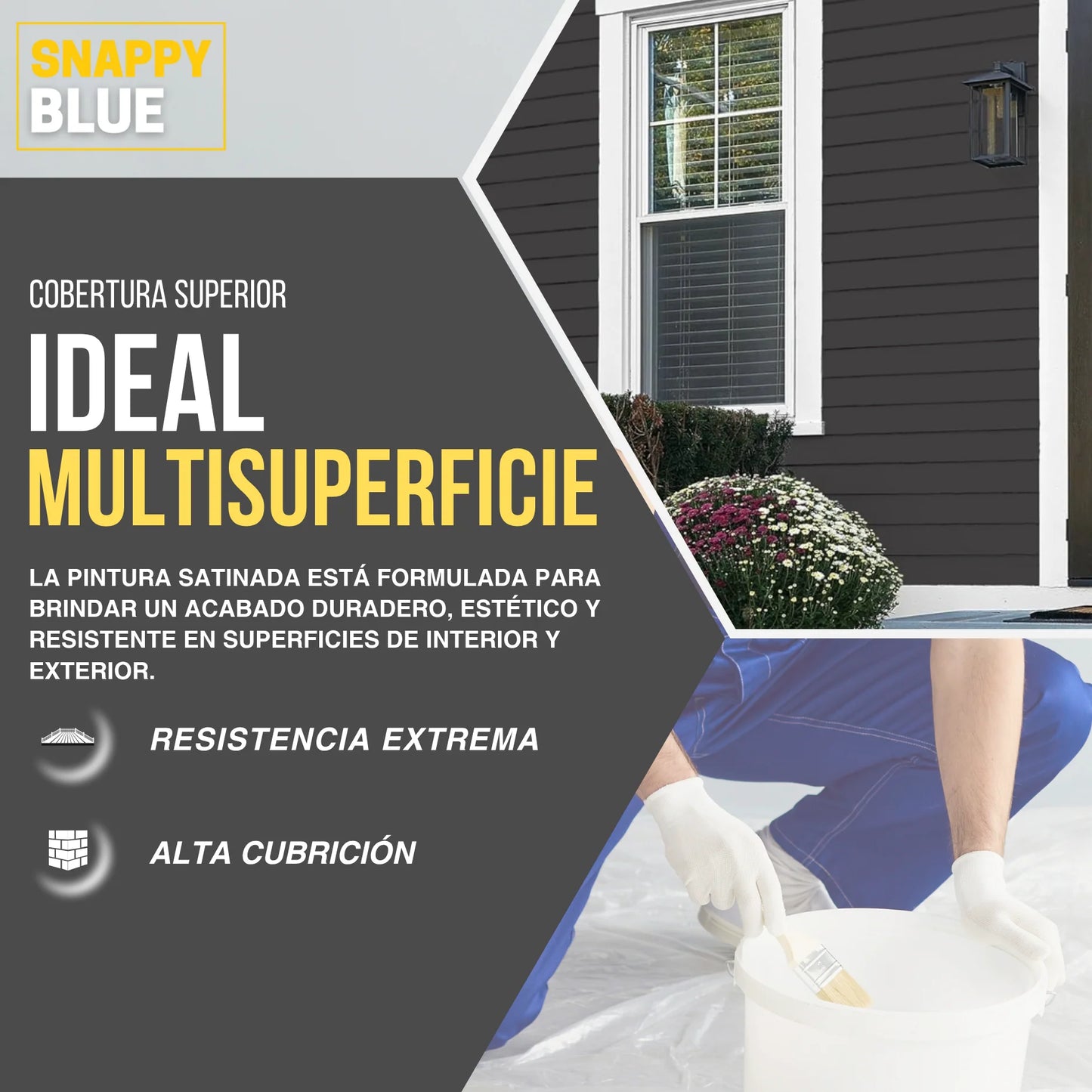 PINTURA PLÁSTICA COLORES MATE | Snappyblue®