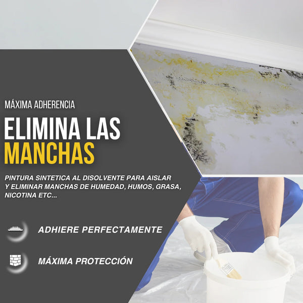 PINTURA SINTÉTICA QUITAMANCHAS ANTIHUMEDAD | Snappyblue®