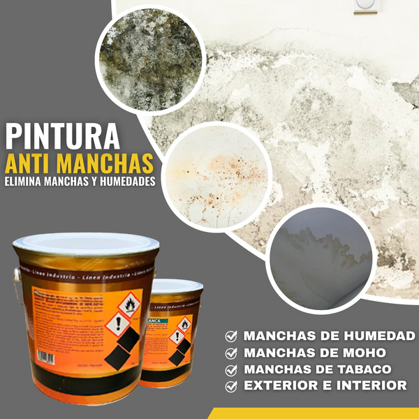 PINTURA SINTÉTICA QUITAMANCHAS ANTIHUMEDAD | Snappyblue®