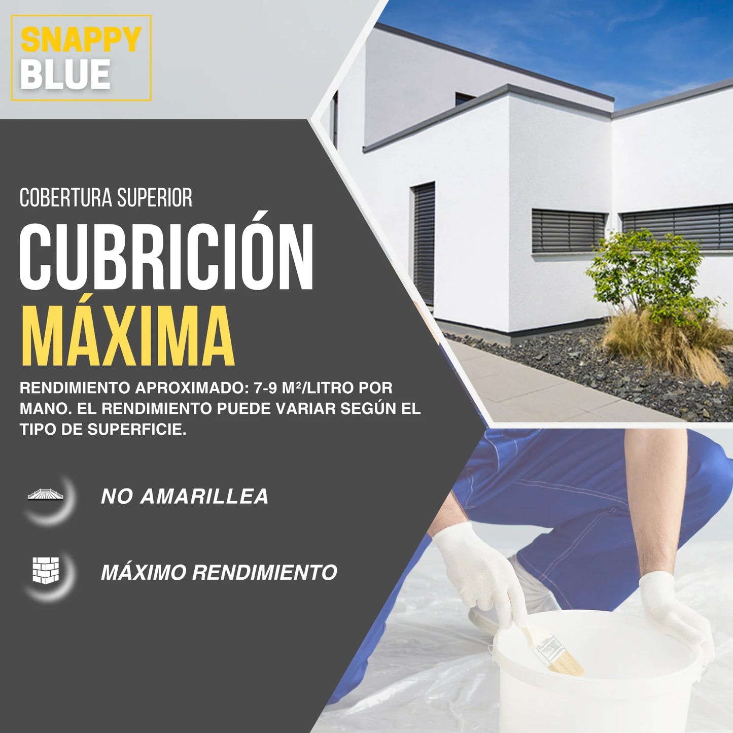 PINTURA PLÁSTICA MATE EXTERIOR | Snappyblue®